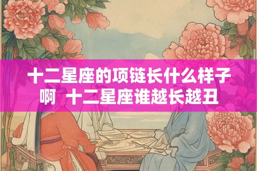十二星座的项链长什么样子啊  十二星座谁越长越丑