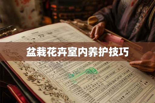 盆栽花卉室内养护技巧
