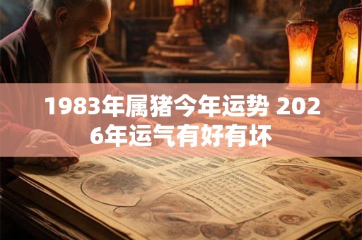 1983年属猪今年运势 2026年运气有好有坏