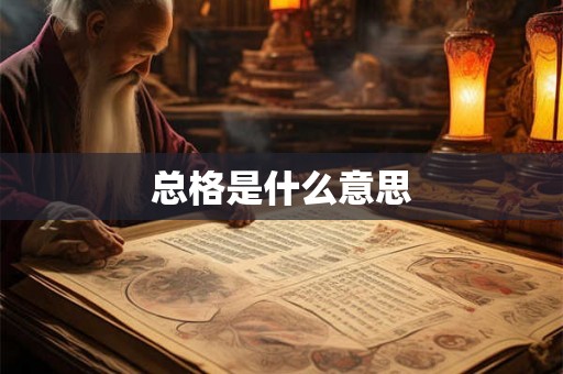 总格是什么意思
