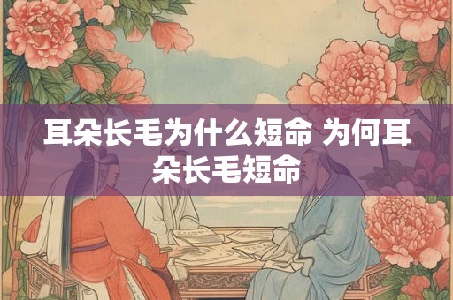 耳朵长毛为什么短命 为何耳朵长毛短命 耳朵长毛为什么短命 为何耳朵长毛短命