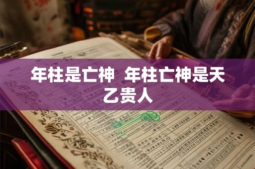 年柱是亡神  年柱亡神是天乙贵人