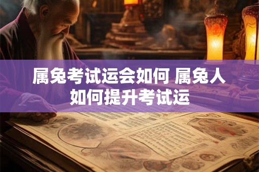 属兔考试运会如何 属兔人如何提升考试运