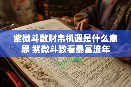 紫微斗数财帛机遇是什么意思 紫微斗数看暴富流年