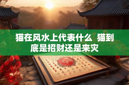 猫在风水上代表什么  猫到底是招财还是来灾
