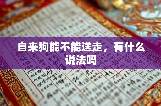 自来狗能不能送走，有什么说法吗