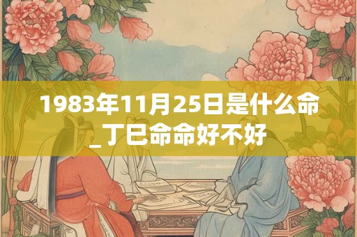 1983年11月25日是什么命_丁巳命命好不好