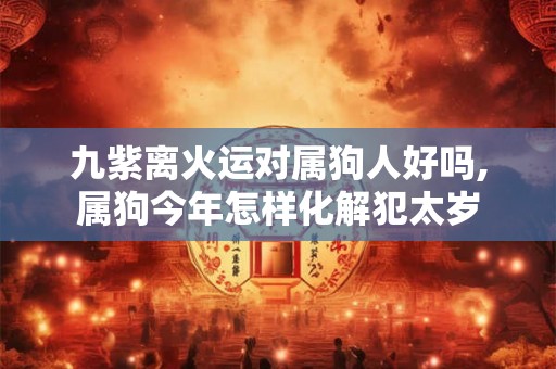 九紫离火运对属狗人好吗,属狗今年怎样化解犯太岁