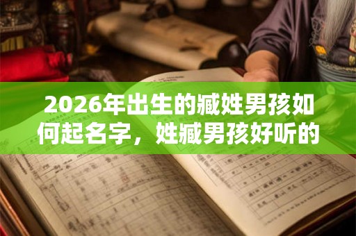 2026年出生的臧姓男孩如何起名字，姓臧男孩好听的名字