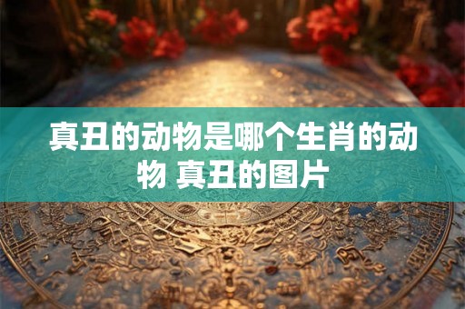 真丑的动物是哪个生肖的动物 真丑的图片