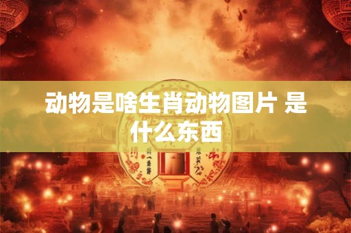 动物是啥生肖动物图片 是什么东西