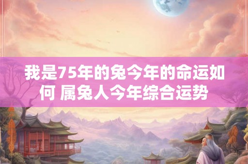 我是75年的兔今年的命运如何 属兔人今年综合运势 我是75年的兔今年的命运如何 属兔人今年综合运势