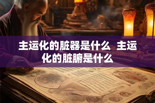 主运化的脏器是什么  主运化的脏腑是什么