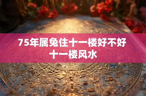 75年属兔住十一楼好不好 十一楼风水
