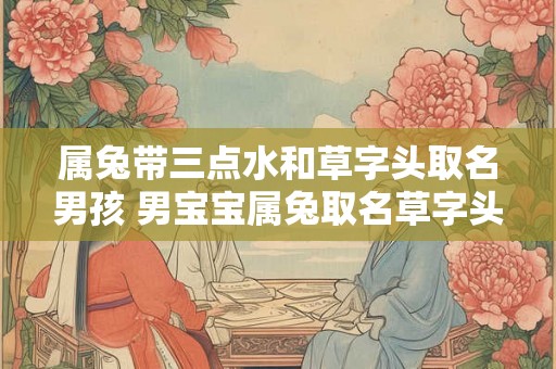 属兔带三点水和草字头取名男孩 男宝宝属兔取名草字头加三点水