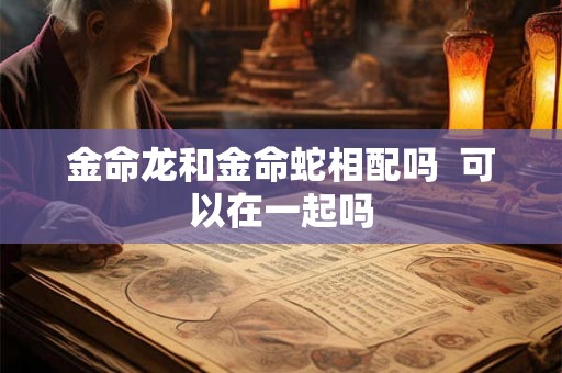 金命龙和金命蛇相配吗  可以在一起吗