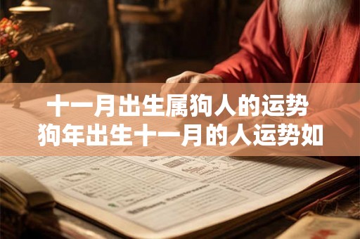 十一月出生属狗人的运势 狗年出生十一月的人运势如何