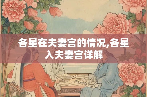各星在夫妻宫的情况,各星入夫妻宫详解