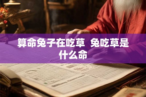 算命兔子在吃草  兔吃草是什么命