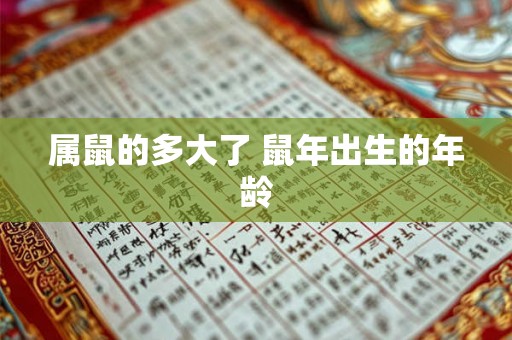 属鼠的多大了 鼠年出生的年龄