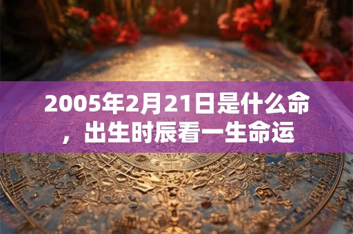 2005年2月21日是什么命，出生时辰看一生命运