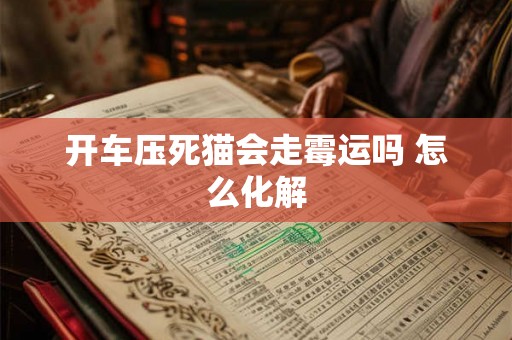 开车压死猫会走霉运吗 怎么化解