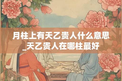 月柱上有天乙贵人什么意思_天乙贵人在哪柱最好