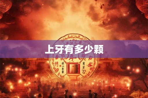 上牙有多少颗