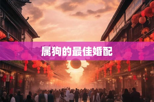属狗的最佳婚配