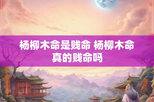 杨柳木命是贱命 杨柳木命真的贱命吗