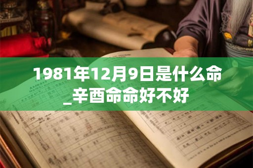 1981年12月9日是什么命_辛酉命命好不好
