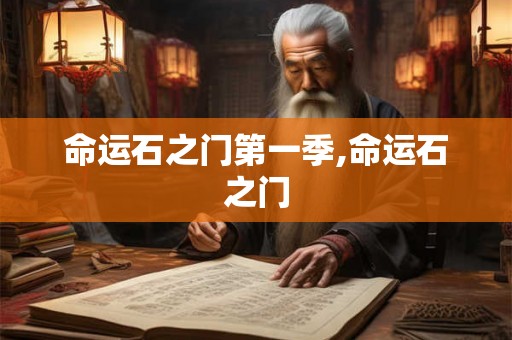 命运石之门第一季,命运石之门