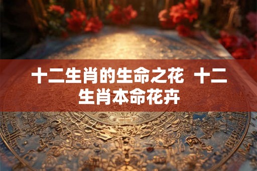十二生肖的生命之花  十二生肖本命花卉