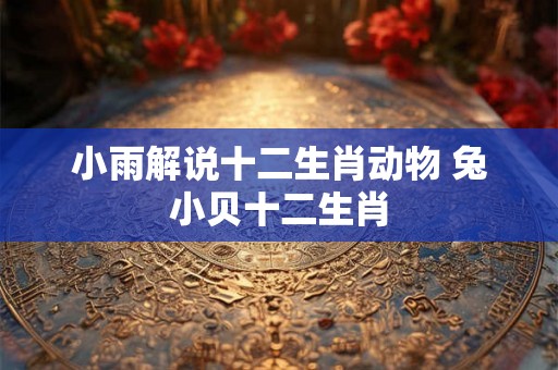 小雨解说十二生肖动物 兔小贝十二生肖 小雨解说十二生肖动物 兔小贝十二生肖