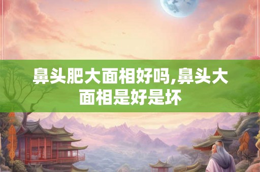 鼻头肥大面相好吗,鼻头大面相是好是坏 鼻头肥大面相好吗,鼻头大面相是好是坏