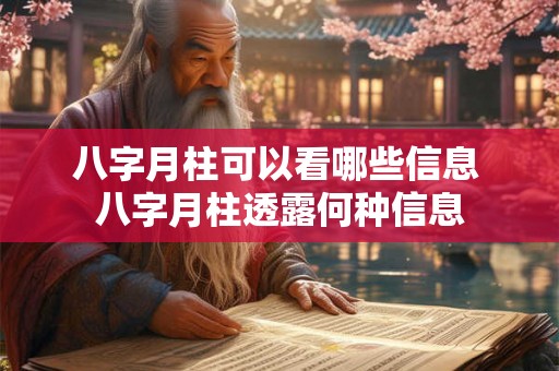 八字月柱可以看哪些信息 八字月柱透露何种信息