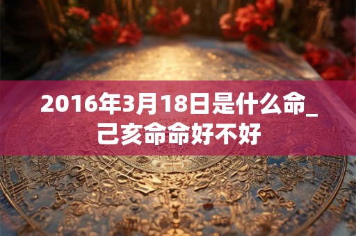 2016年3月18日是什么命_己亥命命好不好