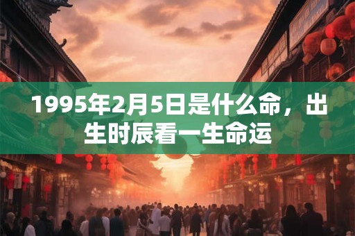 1995年2月5日是什么命，出生时辰看一生命运
