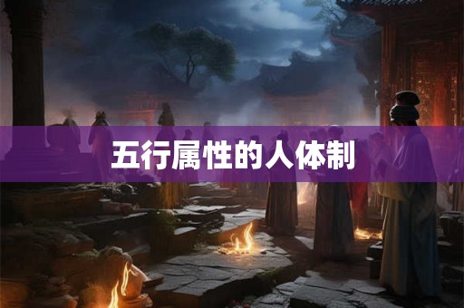 五行属性的人体制