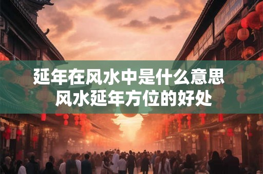 延年在风水中是什么意思  风水延年方位的好处