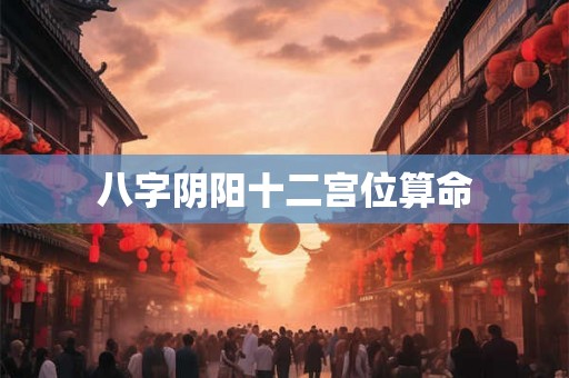 八字阴阳十二宫位算命