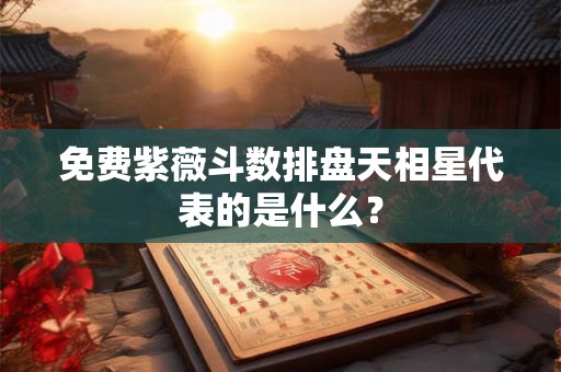 免费紫薇斗数排盘天相星代表的是什么？