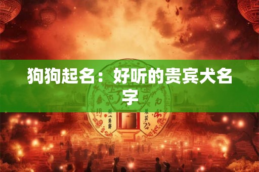 狗狗起名：好听的贵宾犬名字