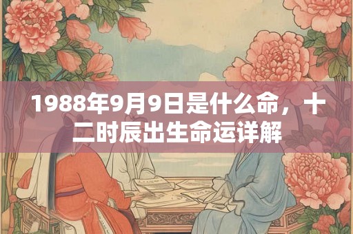 1988年9月9日是什么命，十二时辰出生命运详解