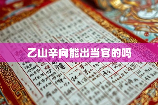 乙山辛向能出当官的吗