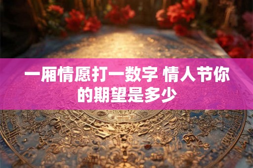 一厢情愿打一数字 情人节你的期望是多少