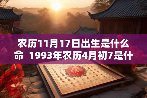 农历11月17日出生是什么命  1993年农历4月初7是什么命