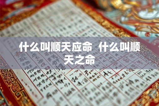 什么叫顺天应命  什么叫顺天之命