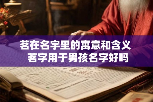 茗在名字里的寓意和含义  茗字用于男孩名字好吗