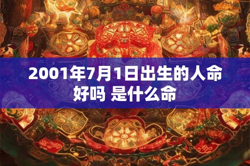 2001年7月1日出生的人命好吗 是什么命
